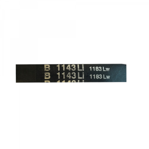 Aandrijfriem PRO-22 S8